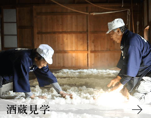 酒蔵見学